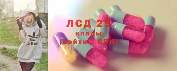 ГАЛЛЮЦИНОГЕННЫЕ ГРИБЫ Богданович