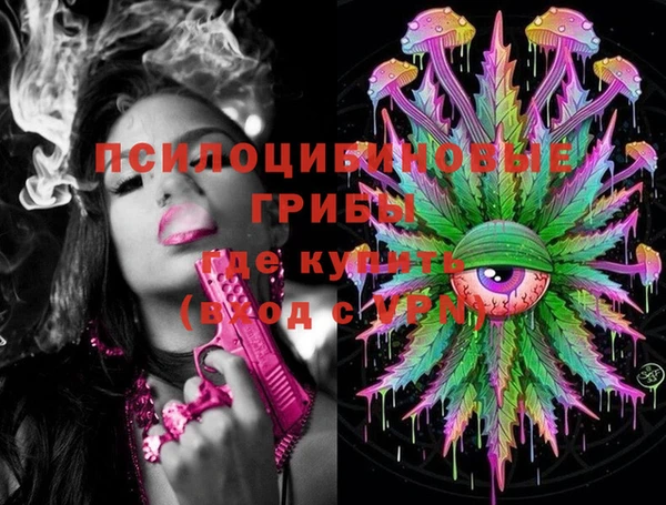 кокс Белокуриха