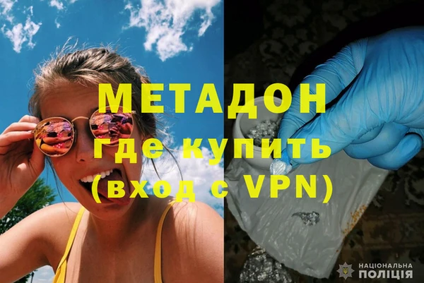 ГАЛЛЮЦИНОГЕННЫЕ ГРИБЫ Богданович